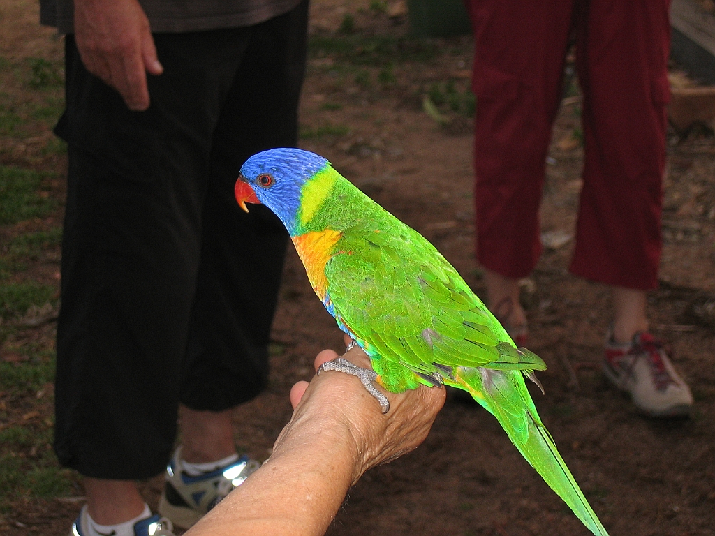 CairnsTC155 Granite Gorge.jpg